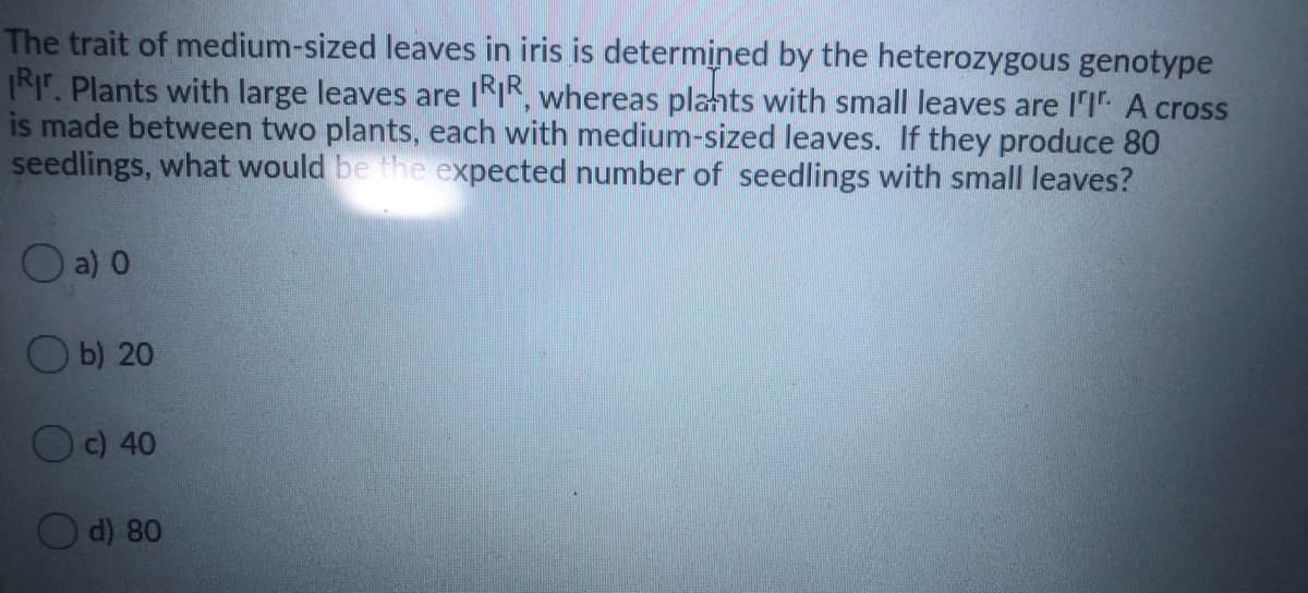 The trait of medium-sized leaves in iris is determined by the heterozygous genotype
RT. Plants with large leaves are IKIK, whereas plants with small leaves are l'I A cross
is made between two plants, each with medium-sized leaves. If they produce 80
seedlings, what would be the expected number of seedlings with small leaves?
O a) 0
O b) 20
Oc) 40
Od) 80
