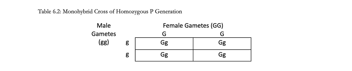 Table 6.2: Monohybrid Cross of Homozygous P Generation
Male
Gametes
(gg)
g
bo
g
Female Gametes (GG)
G
Gg
Gg
G
Gg
Gg