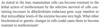 As stated in the text, mammalian cells can become resistant to the
lethal action of methotrexate by the selective survival of cells con-
taining increases in dihydrofolate reductase gene copy number so
that intracellular levels of the enzyme become very high. What other
biochemical or genetic changes in cells could cause them to become
resistant to methotrexate?
