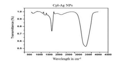 Cpl-Ag NPs
1.0
* 0.9
0.8
0.7
0.6 -
0.5
500 1000 150o 2000 2500 '3000 3500 4000 4500
Wavelength in cm-
Transmittance (%)
