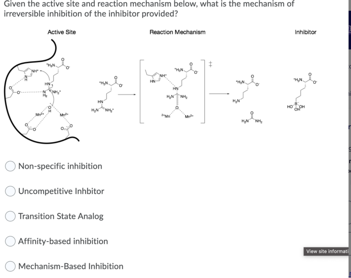 Given the active site and reaction mechanism below, what is the mechanism of
irreversible inhibition of the inhibitor provided?
NH*
Active Site
*H₂N.
HN
NH₂
+H₂N
HN
H₂N NH₂*
Non-specific inhibition
Uncompetitive Inhbitor
Transition State Analog
i
Affinity-based inhibition
Mechanism-Based Inhibition
Reaction Mechanism
*H₂N.
NH
HN-
HN
[*]
H₂N NH₂
2+Mn
Mn²+
i
+H₂N.
H₂N
i
H₂N NH₂
HO
Inhibitor
*H₂N.
B
OH
r
View site informati