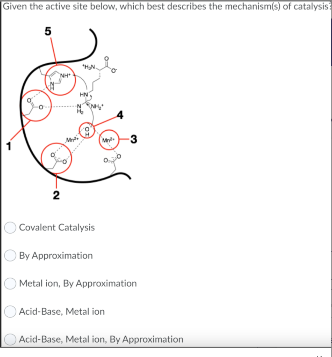 Given the active site below, which best describes the mechanism(s) of catalysis?
5
NH*
2
-N
+H3N.
HN
Mn²+
H₂
Covalent Catalysis
By Approximation
Mn²+
-3
Metal ion, By Approximation
Acid-Base, Metal ion
Acid-Base, Metal ion, By Approximation