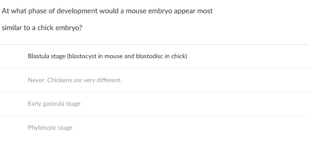 At what phase of development would a mouse embryo appear most
similar to a chick embryo?
Blastula stage (blastocyst in mouse and blastodisc in chick)
Never. Chickens are very different.
Early gastrula stage
Phylotypic stage
