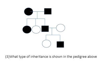 (3)What type of inheritance is shown in the pedigree above