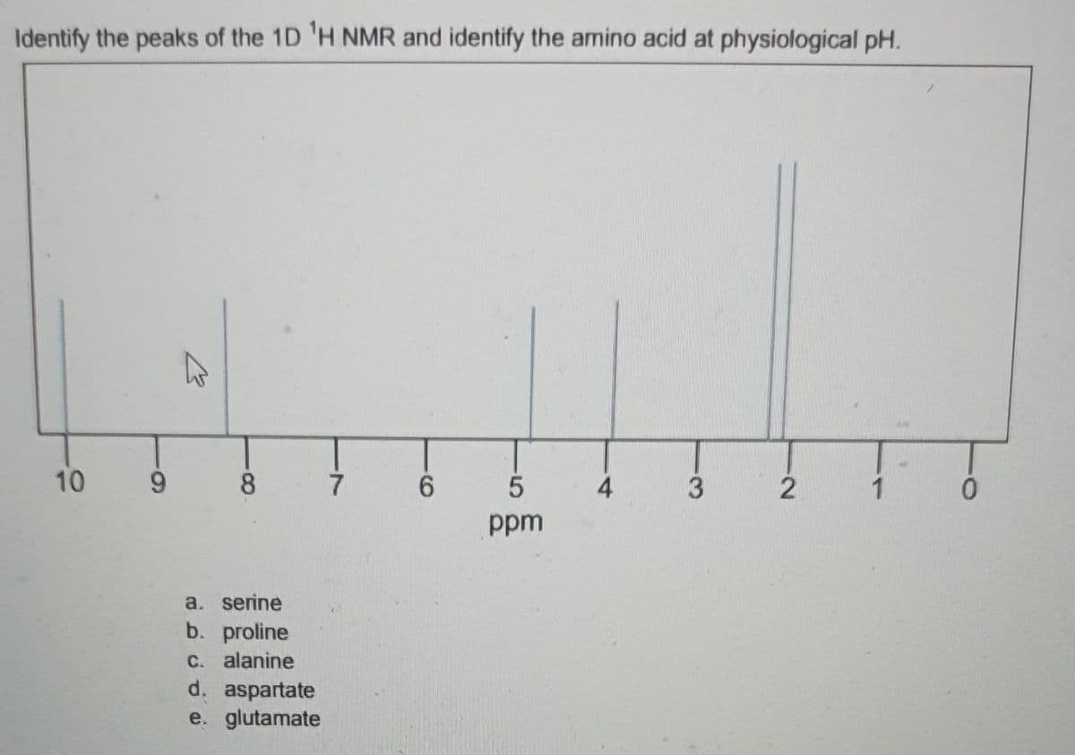 Identify the peaks of the 1D ¹H NMR and identify the amino acid at physiological pH.
10
9
8
a.
serine
b. proline
c. alanine
d. aspartate
e. glutamate
7
6
5
ppm
4
3
2