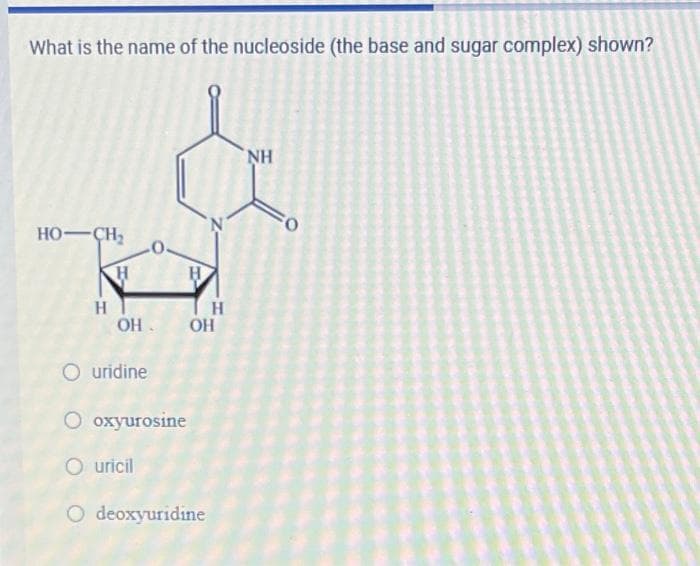 What is the name of the nucleoside (the base and sugar complex) shown?
NH
HO-ÇH,
H
OH.
OH
O uridine
oxyurosine
O uricil
O deoxyuridine
