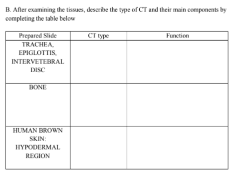 B. After examining the tissues, describe the type of CT and their main components by
completing the table below
Function
Prepared Slide
TRACHEA,
CT type
EPIGLOTTIS,
INTERVETEBRAL
DISC
BONE
HUMAN BROWN
SKIN:
HYPODERMAL
REGION
