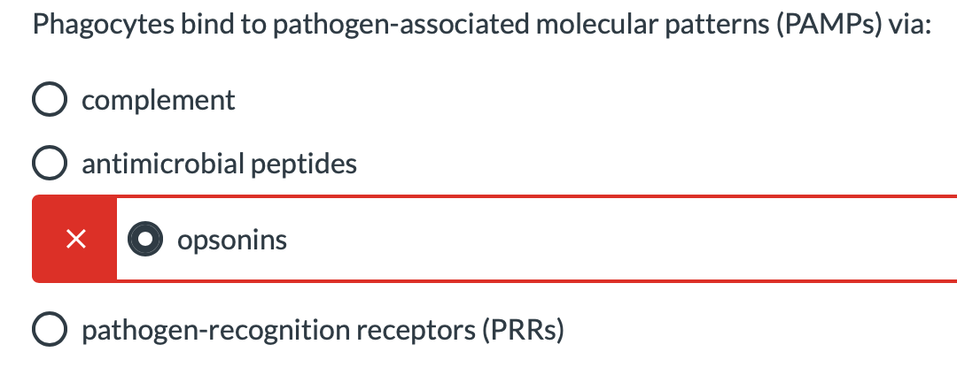 Phagocytes bind to pathogen-associated molecular patterns (PAMPS) via:
complement
O antimicrobial peptides
opsonins
O pathogen-recognition receptors (PRRS)
