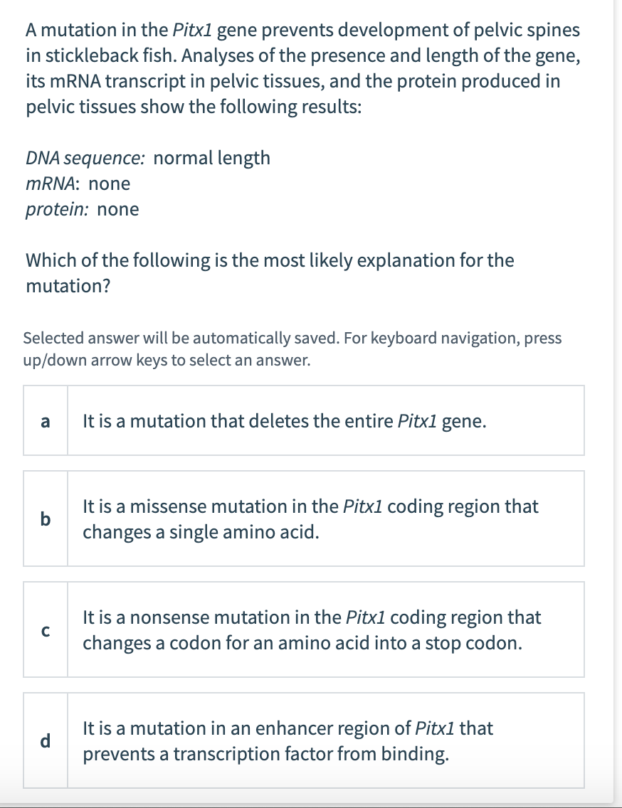 A mutation in the Pitx1 gene prevents development of pelvic spines
in stickleback fish. Analyses of the presence and length of the gene,
its mRNA transcript in pelvic tissues, and the protein produced in
pelvic tissues show the following results:
DNA sequence: normal length
mRNA: none
protein: none
Which of the following is the most likely explanation for the
mutation?
Selected answer will be automatically saved. For keyboard navigation, press
up/down arrow keys to select an answer.
a
b
It is a mutation that deletes the entire Pitx1 gene.
It is a missense mutation in the Pitx1 coding region that
changes a single amino acid.
It is a nonsense mutation in the Pitx1 coding region that
changes a codon for an amino acid into a stop codon.
It is a mutation in an enhancer region of Pitx1 that
prevents a transcription factor from binding.