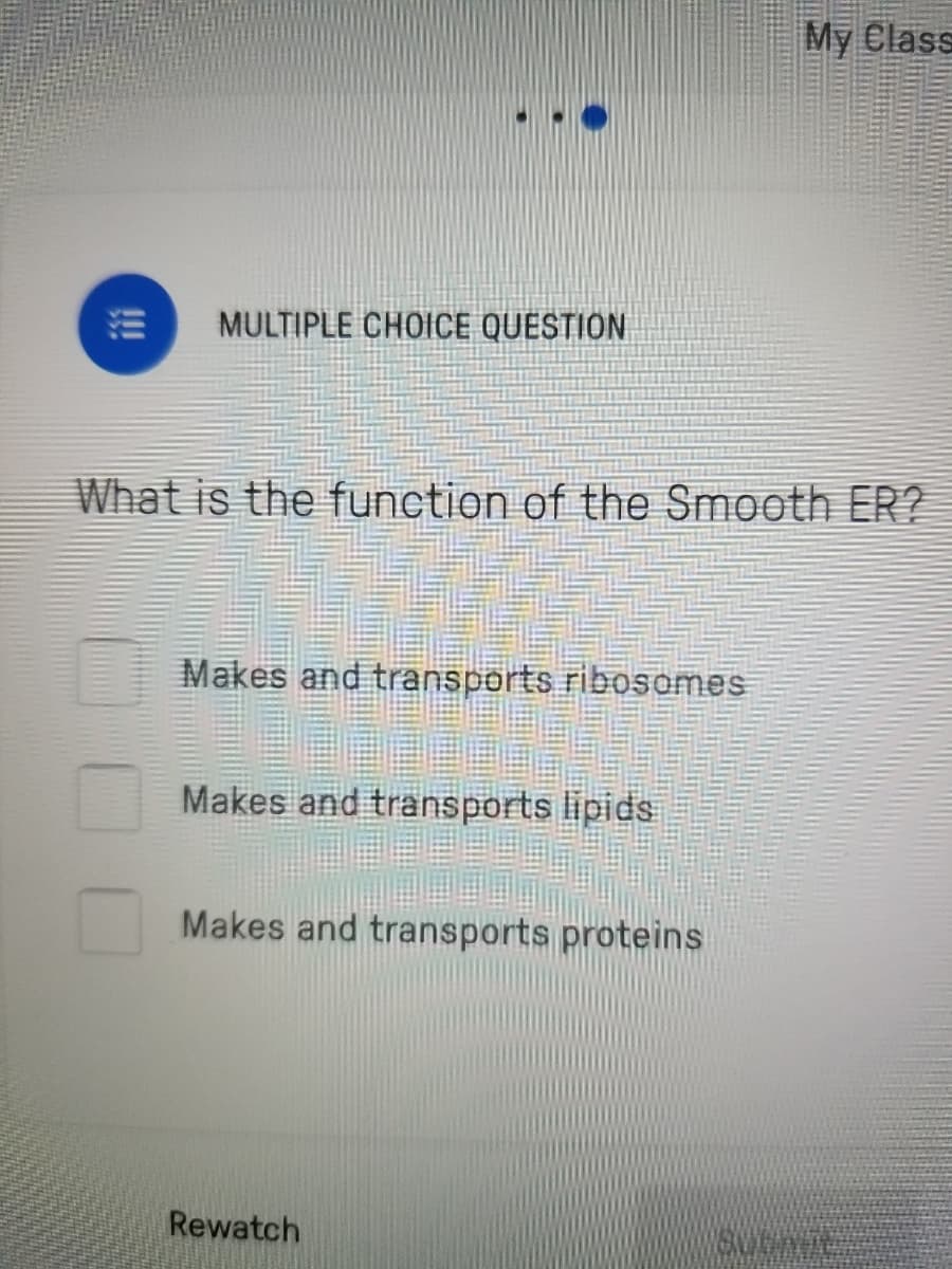 What is the function of the Smooth ER?
Makes and transports ribosomes
Makes and transports lipids
Makes and transports proteins
