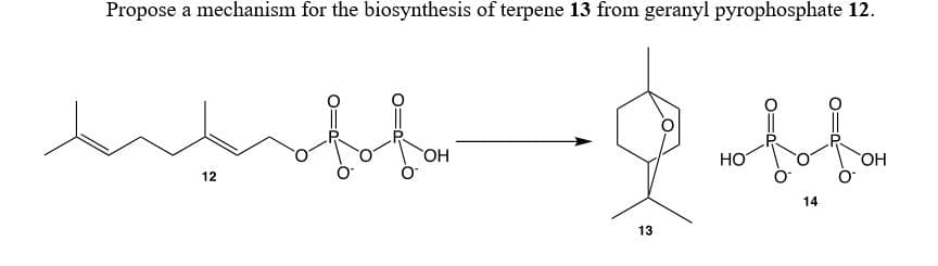 Propose a mechanism for the biosynthesis of terpene 13 from geranyl pyrophosphate 12.
OH
Но
HO
12
14
13
