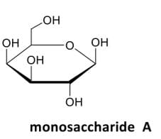 OH
OH
OH
Он
monosaccharide A
