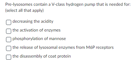 Pre-lysosomes contain a V-class hydrogen pump that is needed for:
(select all that apply)
decreasing the acidity
the activation of enzymes
phosphorylation of mannose
the release of lysosomal enzymes from M6P receptors
the disassembly of coat protein