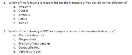 1. Which of the following is responsible for the transport of vesicles along microfilaments?
a. Myosin V
b. Dynein
c. Myson II
d. Cofilin
e. Kinesin
2. Which of the following is NOT an example of a microfilament-based structure?
a. Microvilli structure
b. Phagocytosis
c. Scission of new vesicles
d. Contractile ring
e. Vesicle transport