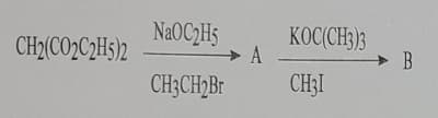 CH2(CO2C2H5)2
NAOC2H5
A
KOC(CH;)3
B
CH3CH)Br
CH3I
