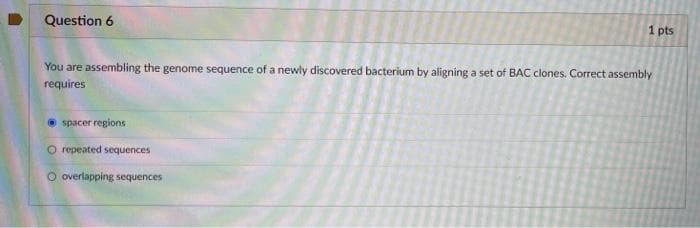 Question 6
1 pts
You are assembling the genome sequence of a newly discovered bacterium by aligning a set of BAC clones. Correct assembly
requires
O spacer regions
O repeated sequences
O overlapping sequences
