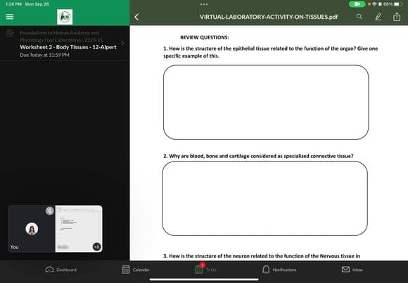 1:24 PM Mon Sep 20
=
You
Foundations to Human Anatomy and
Physiology (w/Laboratory)-2223-15
Worksheet 2- Body Tissues- 12-Alpert
Due Today at 11:59 PM
Bate
HOTEL
Dashboard
Calendar
VIRTUAL-LABORATORY-ACTIVITY-ON-TISSUES.pdf
REVIEW QUESTIONS:
1. How is the structure of the epithelial tissue related to the function of the organ? Give one
specific example of this.
2. Why are blood, bone and cartilage considered as specialized connective tissue?
3. How is the structure of the neuron related to the function of the Nervous tissue in
To Do
Notifications
Inbox
66%