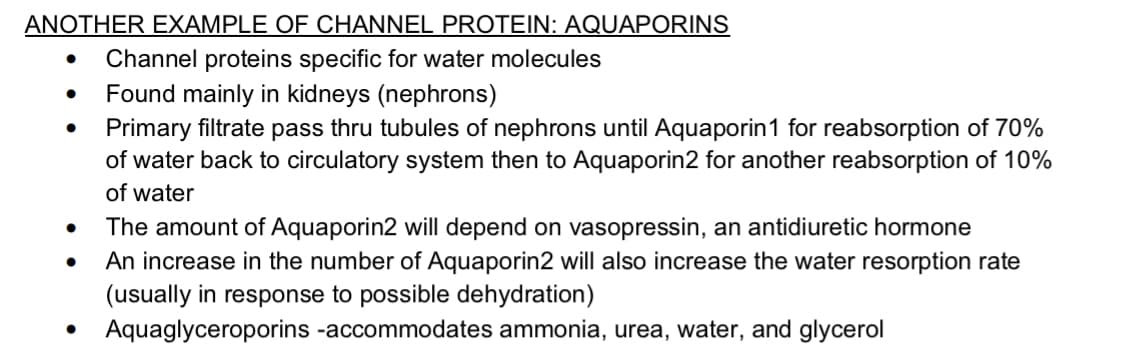 ANOTHER EXAMPLE OF CHANNEL PROTEIN: AQUAPORINS
Channel proteins specific for water molecules
Found mainly in kidneys (nephrons)
Primary filtrate pass thru tubules of nephrons until Aquaporin1 for reabsorption of 70%
of water back to circulatory system then to Aquaporin2 for another reabsorption of 10%
of water
The amount of Aquaporin2 will depend on vasopressin, an antidiuretic hormone
An increase in the number of Aquaporin2 will also increase the water resorption rate
(usually in response to possible dehydration)
Aquaglyceroporins -accommodates ammonia, urea, water, and glycerol
