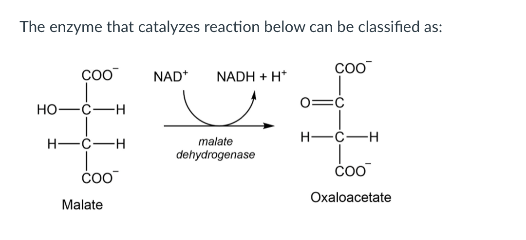 The enzyme that catalyzes reaction below can be classified as:
NAD*
NADH + H*
Но-
H-Ć-
Н—с—н
H-
malate
dehydrogenase
Oxaloacetate
Malate
