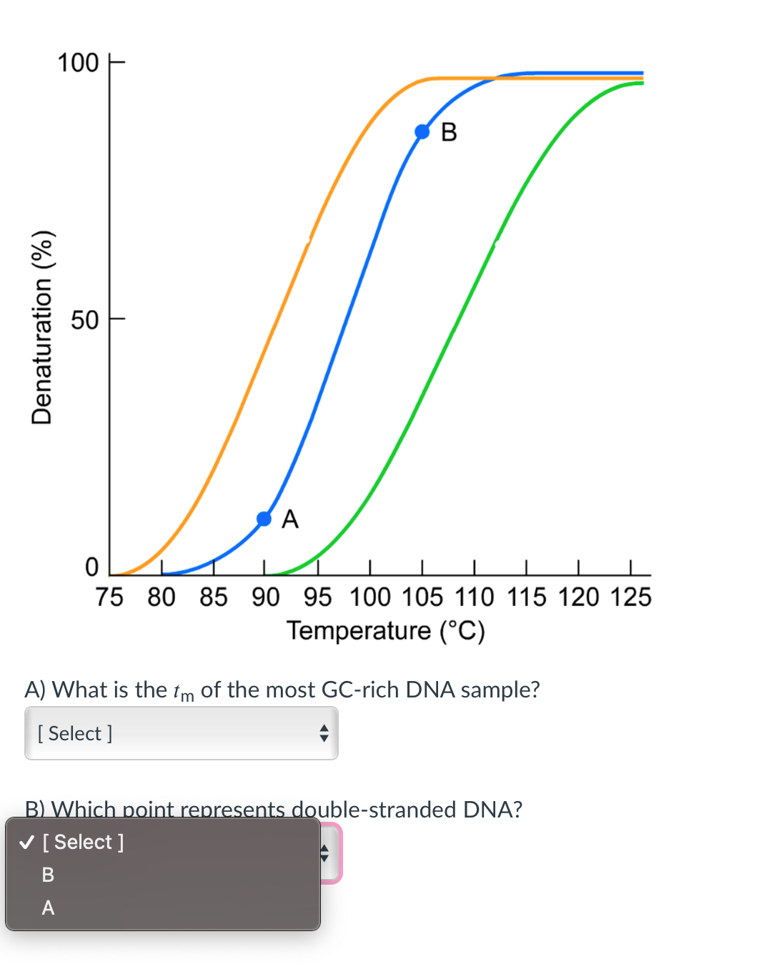 100
В
A
75 80 85 90 95 100 105 110 115 120 125
Temperature (°C)
A) What is the tm of the most GC-rich DNA sample?
[ Select ]
B) Which point represents double-stranded DNA?
V [ Select ]
A
50
םם
Denaturation (%)
