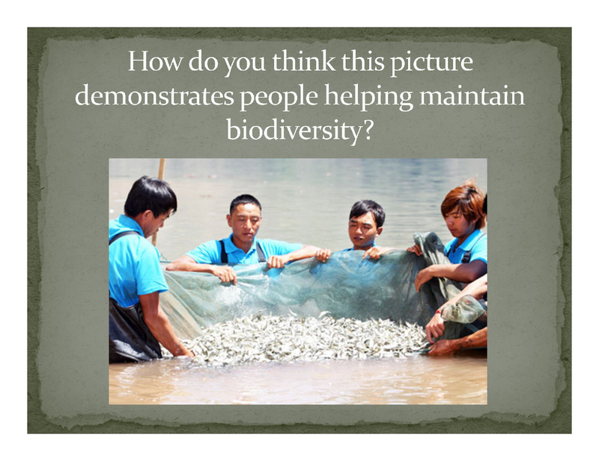 How do you think this picture
demonstrates people helping maintain
biodiversity?