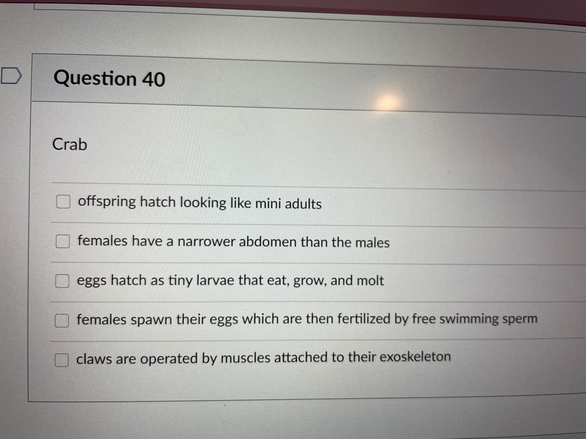Question 40
Crab
offspring hatch looking like mini adults
females have a narrower abdomen than the males
eggs hatch as tiny larvae that eat, grow, and molt
females spawn their eggs which are then fertilized by free swimming sperm
claws are operated by muscles attached to their exoskeleton
