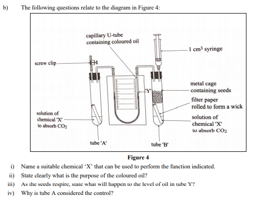 b)
The following questions relate to the diagram in Figure 4:
capillary U-tube
containing coloured oil
- 1 cm³ syringe
screw clip -
metal cage
- containing seeds
filter paper
rolled to form a wick
solution of
chemical "X'
solution of
chemical 'X'
to absorb CO2
to absorb CO2
tube 'A'
tube 'B'
Figure 4
i) Name a suitable chemical X' that can be used to perform the function indicated.
ii) State clearly what is the purpose of the coloured oil?
iii) As the seeds respire, state what will happen to the level of oil in tube Y?
iv) Why is tube A considered the control?
