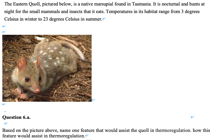 The Eastern Quoll, pictured below, is a native marsupial found in Tasmania. It is nocturnal and hunts at
night for the small mammals and insects that it eats. Temperatures in its habitat range from 3 degrees
Celsius in winter to 23 degrees Celsius in summer.
Question 6.a.
Based on the picture above, name one feature that would assist the quoll in thermoregulation. how this
feature would assist in thermoregulation.
