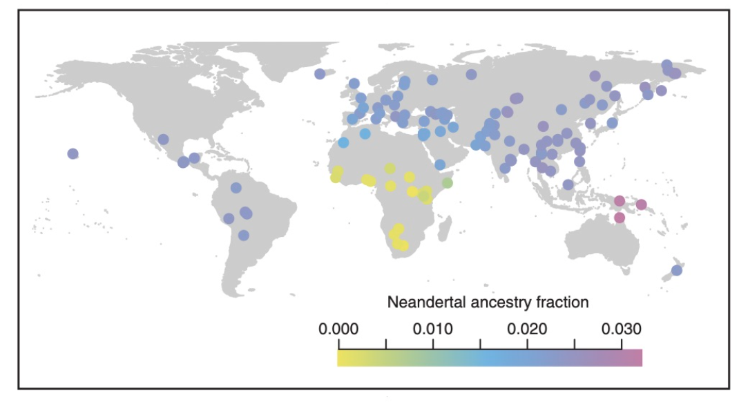 Neandertal ancestry fraction
0.000
0.010
0.020
0.030
