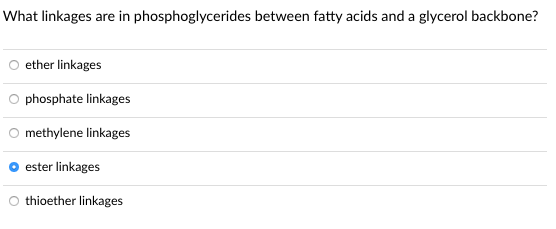 What linkages are in phosphoglycerides between fatty acids and a glycerol backbone?
ether linkages
phosphate linkages
methylene linkages
ester linkages
thioether linkages
