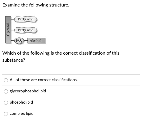 Examine the following structure.
Fatty acid
Fatty acid
PO
Alcohol
Which of the following is the correct classification of this
substance?
All of these are correct classifications.
glycerophospholipid
phospholipid
complex lipid
Glycerol
