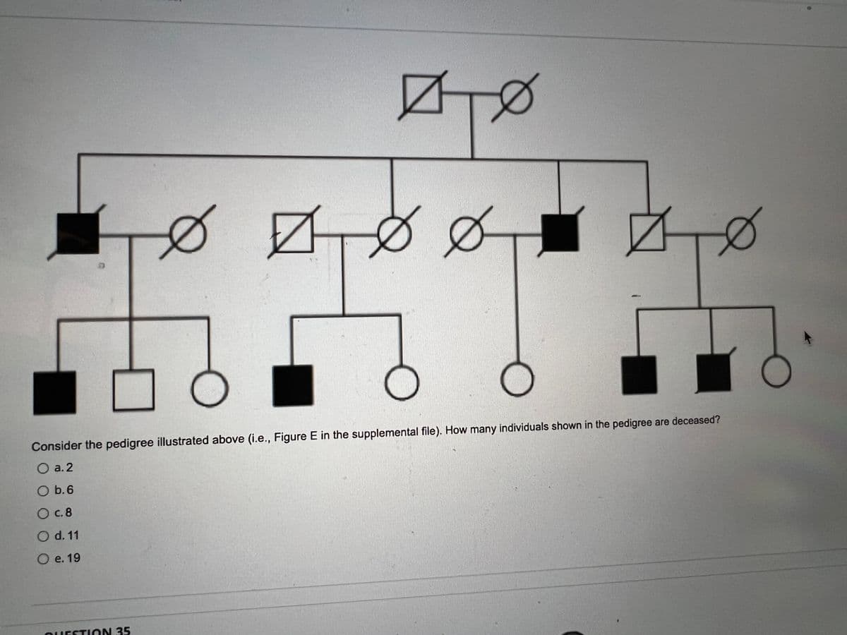 8
E
QUESTION 35
вто
Ø
Consider the pedigree illustrated above (i.e., Figure E in the supplemental file). How many individuals shown in the pedigree are deceased?
O a. 2
O b. 6
O c.8
O d. 11
O e. 19