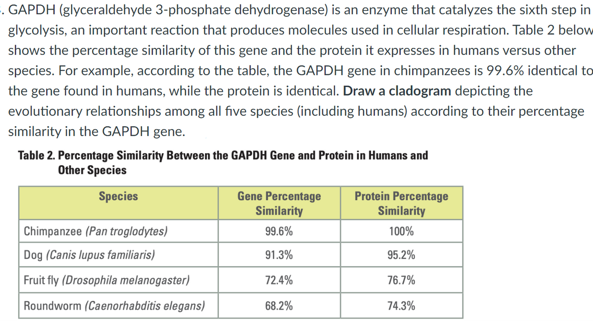 . GAPDH (glyceraldehyde 3-phosphate dehydrogenase) is an enzyme that catalyzes the sixth step in
glycolysis, an important reaction that produces molecules used in cellular respiration. Table 2 below
shows the percentage similarity of this gene and the protein it expresses in humans versus other
species. For example, according to the table, the GAPDH gene in chimpanzees is 99.6% identical to
the gene found in humans, while the protein is identical. Draw a cladogram depicting the
evolutionary relationships among all five species (including humans) according to their percentage
similarity in the GAPDH gene.
Table 2. Percentage Similarity Between the GAPDH Gene and Protein in Humans and
Other Species
Species
Chimpanzee (Pan troglodytes)
Dog (Canis lupus familiaris)
Fruit fly (Drosophila melanogaster)
Roundworm (Caenorhabditis elegans)
Gene Percentage
Similarity
99.6%
91.3%
72.4%
68.2%
Protein Percentage
Similarity
100%
95.2%
76.7%
74.3%