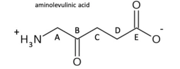 aminolevulinic acid
magneto
B
D
H₂N A
C
E
O