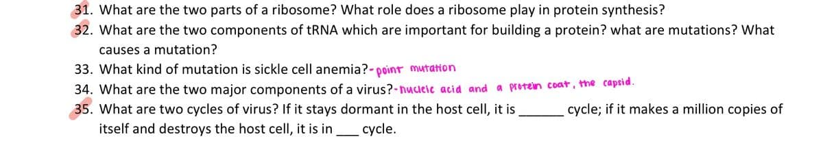 31. What are the two parts of a ribosome? What role does a ribosome play in protein synthesis?
32. What are the two components of tRNA which are important for building a protein? what are mutations? What
causes a mutation?
33. What kind of mutation is sickle cell anemia?-point mutation
34. What are the two major components of a virus?-nucleic acid and a protein coat, the capsid.
35. What are two cycles of virus? If it stays dormant in the host cell, it is
itself and destroys the host cell, it is in _____ cycle.
cycle; if it makes a million copies of