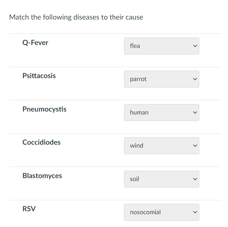 Match the following diseases to their cause
Q-Fever
Psittacosis
Pneumocystis
Coccidiodes
Blastomyces
RSV
flea
parrot
human
wind
soil
nosocomial
<
