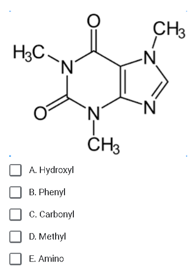 H3C
`N
A. Hydroxyl
B. Phenyl
C. Carbonyl
D. Methyl
E. Amino
O
`N´
-Z
CH3
CH3
-N