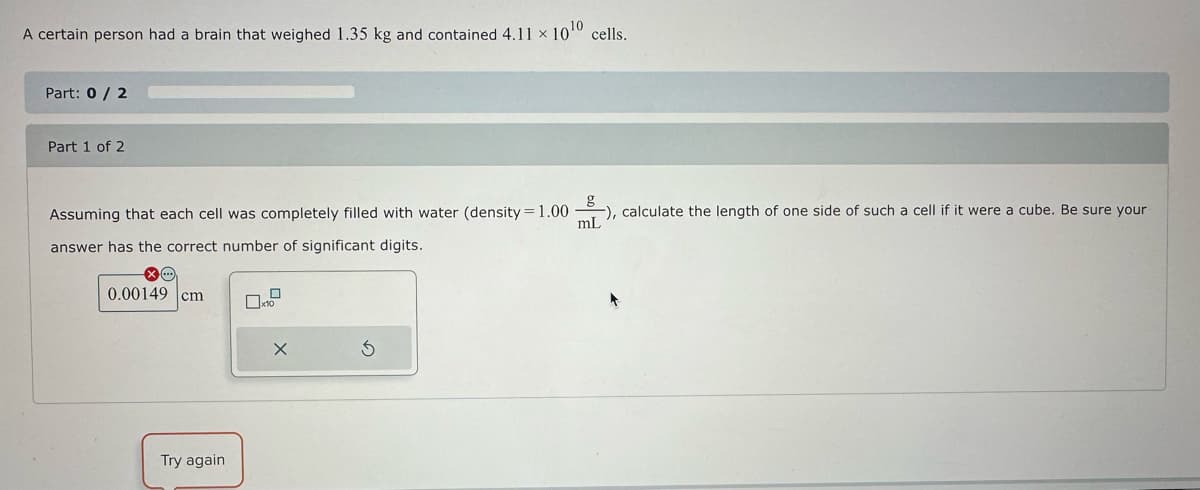 A certain person had a brain that weighed 1.35 kg and contained 4.11 × 10¹0 cells.
Part: 0/2
Part 1 of 2
Assuming that each cell was completely filled with water (density=1.00), calculate the length of one side of such a cell if it were a cube. Be sure your
answer has the correct number of significant digits.
0.00149 cm
Try again
x10