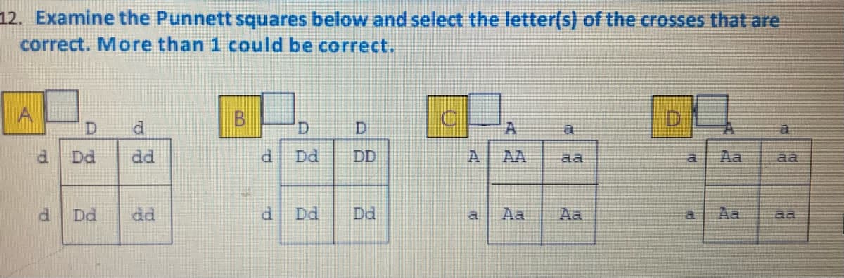 12. Examine the Punnett squares below and select the letter(s) of the crosses that are
correct. More than 1 could be correct.
D
d.
D
a
Dd
dd
Dd
DD
AA
aa
al
Aa
aa
Dd
dd
Dd
Dd
a
Aa
Aa
Aa
aa
B.
