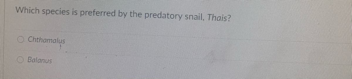 Which species is preferred by the predatory snail, Thais?
Chthamalus
Balanus