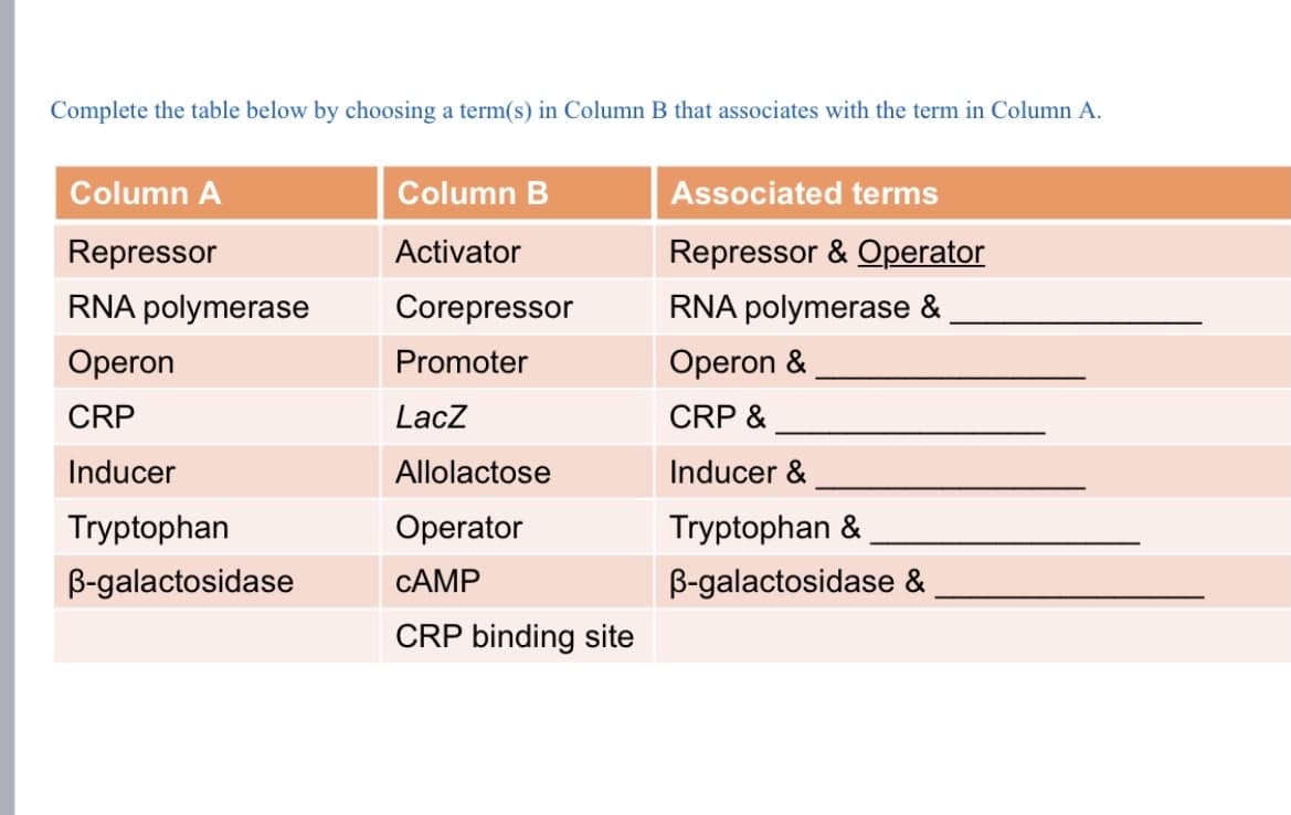 Complete the table below by choosing a term(s) in Column B that associates with the term in Column A.
Column A
Column B
Associated terms
Repressor
Activator
Repressor & Operator
RNA polymerase
Corepressor
RNA polymerase &
Operon
Promoter
Operon &
CRP
LacZ
CRP &
Inducer
Allolactose
Inducer &
Tryptophan
Operator
Tryptophan &
B-galactosidase
CAMP
B-galactosidase &
CRP binding site
