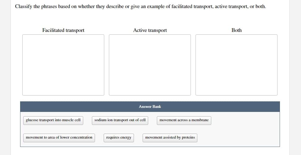 Classify the phrases based on whether they describe or give an example of facilitated transport, active transport, or both.
Facilitated transport
glucose transport into muscle cell
movement to area of lower concentration.
Active transport
requires energy
Answer Bank
sodium ion transport out of cell
movement across membrane
movement assisted by proteins
Both
