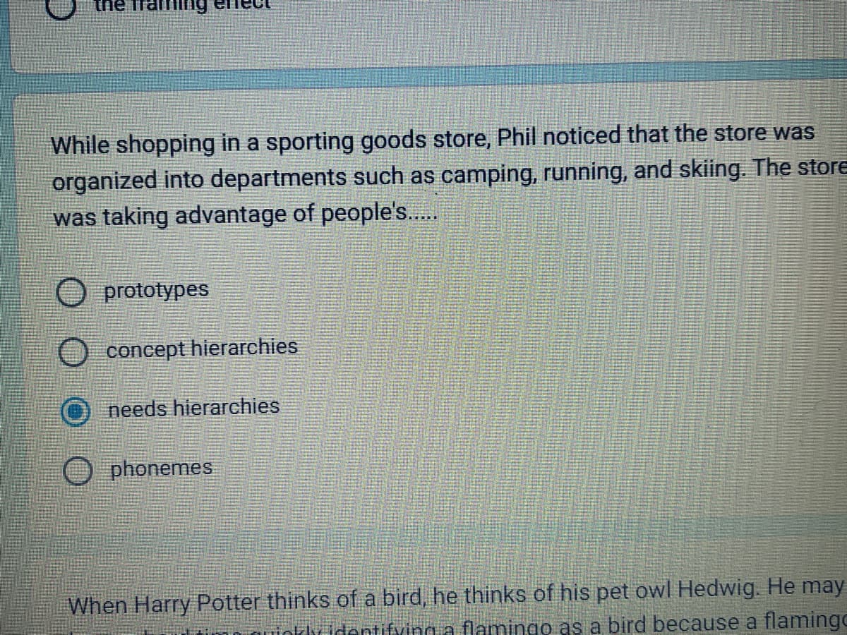 the
While shopping in a sporting goods store, Phil noticed that the store was
organized into departments such as camping, running, and skiing. The store
was taking advantage of people's.....
prototypes
O concept hierarchies
needs hierarchies
phonemes
When Harry Potter thinks of a bird, he thinks of his pet owl Hedwig. He may
identifying a flamingo as a bird because a flamingc