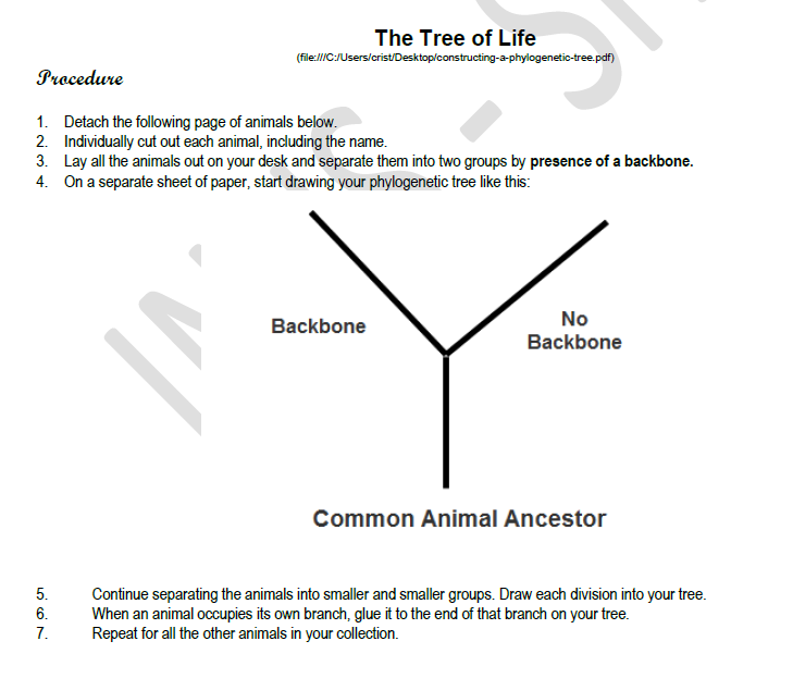 The Tree of Life
(file:/C:/Users/arist/Desktop/constructing-a-phylogenetio-tree,pdf)
Procedure
1. Detach the following page of animals below.
2. Individually cut out each animal, including the name.
3. Lay all the animals out on your desk and separate them into two groups by presence of a backbone.
4. On a separate sheet of paper, start drawing your phylogenetic tree like this:
No
Backbone
Backbone
Common Animal Ancestor
5.
Continue separating the animals into smaller and smaller groups. Draw each division into your tree.
When an animal occupies its own branch, glue it to the end of that branch on your tree.
Repeat for all the other animals in your collection.
6.
7.
