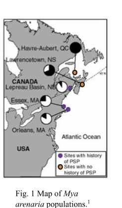 Havre-Aubert, QC
Lawrencetown, NS
CANADA
Lepreau Basin, NB
Essex, MA
Orleans, MA
USA
Atlantic Ocean
Sites with history
of PSP
Sites with no
history of PSP
Fig. 1 Map of Mya
arenaria populations.¹