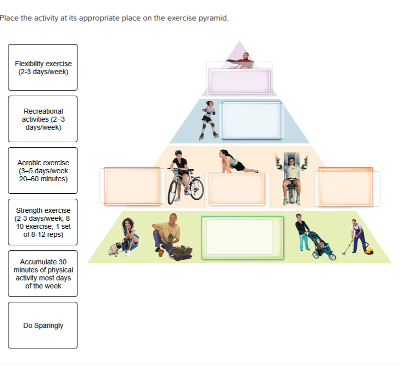 Place the activity at its appropriate place on the exercise pyramid.
Flexibility exercise
(2-3 days/week)
Recreational
activities (2-3
days/week)
Aerobic exercise
(3-5 days/week
20-60 minutes)
Strength exercise
(2-3 days/week, 8-
10 exercise, 1 set
of 8-12 reps)
Accumulate 30
minutes of physical
activity most days
of the week
Do Sparingly
UIF
More