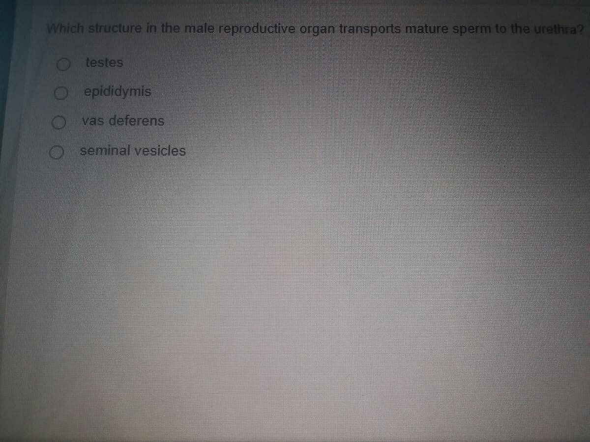 Which structure in the male reproductive organ transports mature sperm to the urethra?
testes
O epididymis
vas deferens
seminal vesicles
