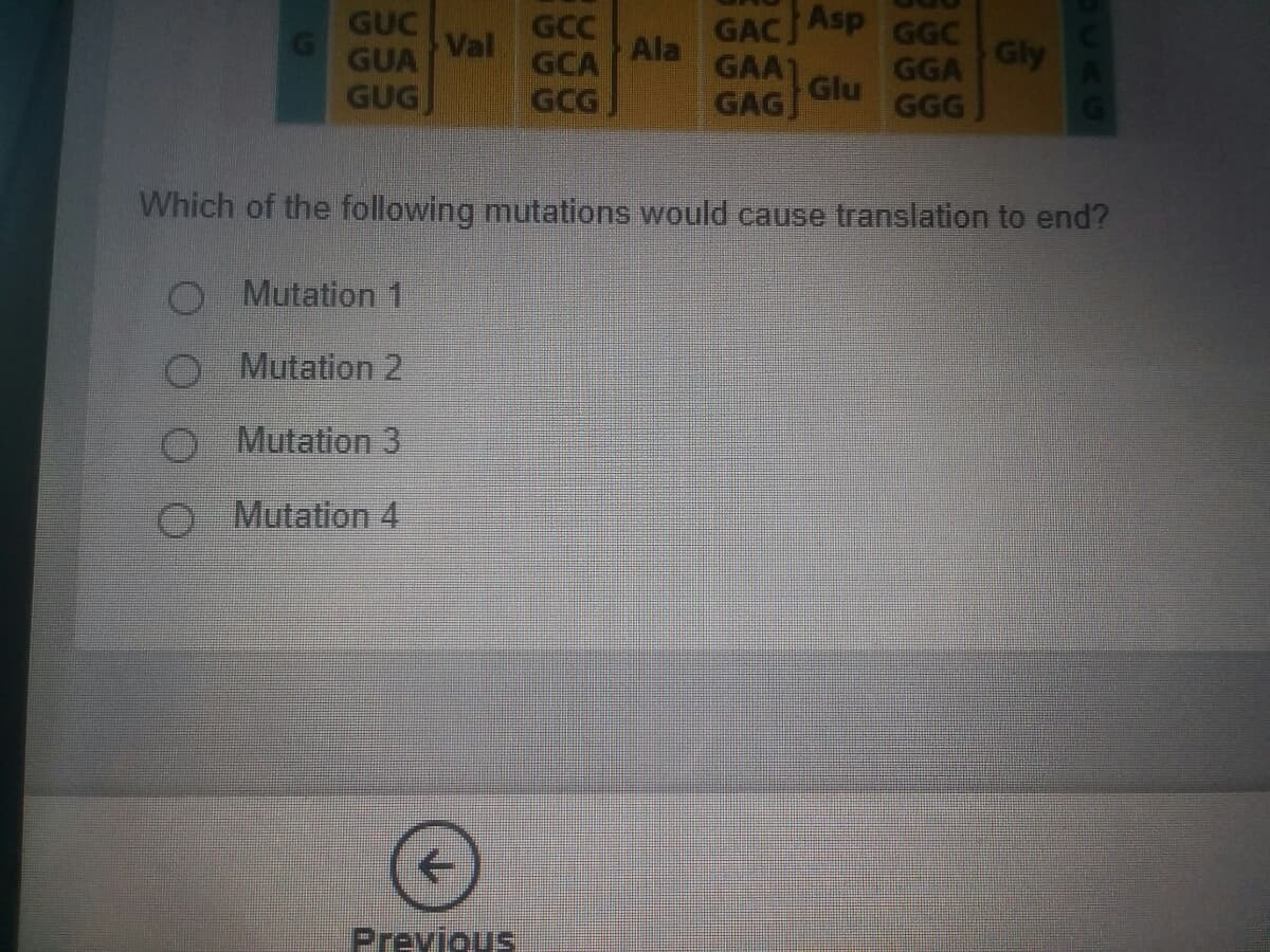 GUC
Val
GUA
GCC
GCA
GCG
Ala
GAAT
Glu
GAG
GAC Asp
GGC
Gly
GGA
GUG
GGG
Which of the following mutations would cause translation to end?
O Mutation 1
O Mutation 2
O Mutation 3
Mutation 4
Previous
