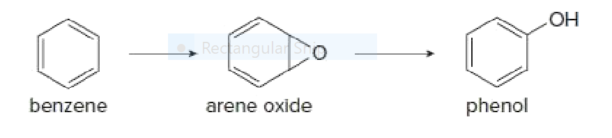 RedangularSo
benzene
arene oxide
phenol
