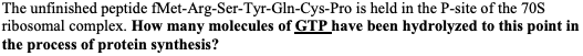 The unfinished peptide fMet-Arg-Ser-Tyr-Gln-Cys-Pro is held in the P-site of the 70S
ribosomal complex. How many molecules of GTP have been hydrolyzed to this point in
the process of protein synthesis?
